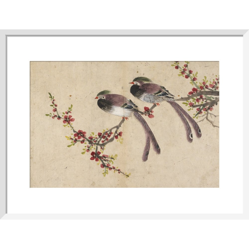 Long-tailed birds on plum tree branch print in white frame
