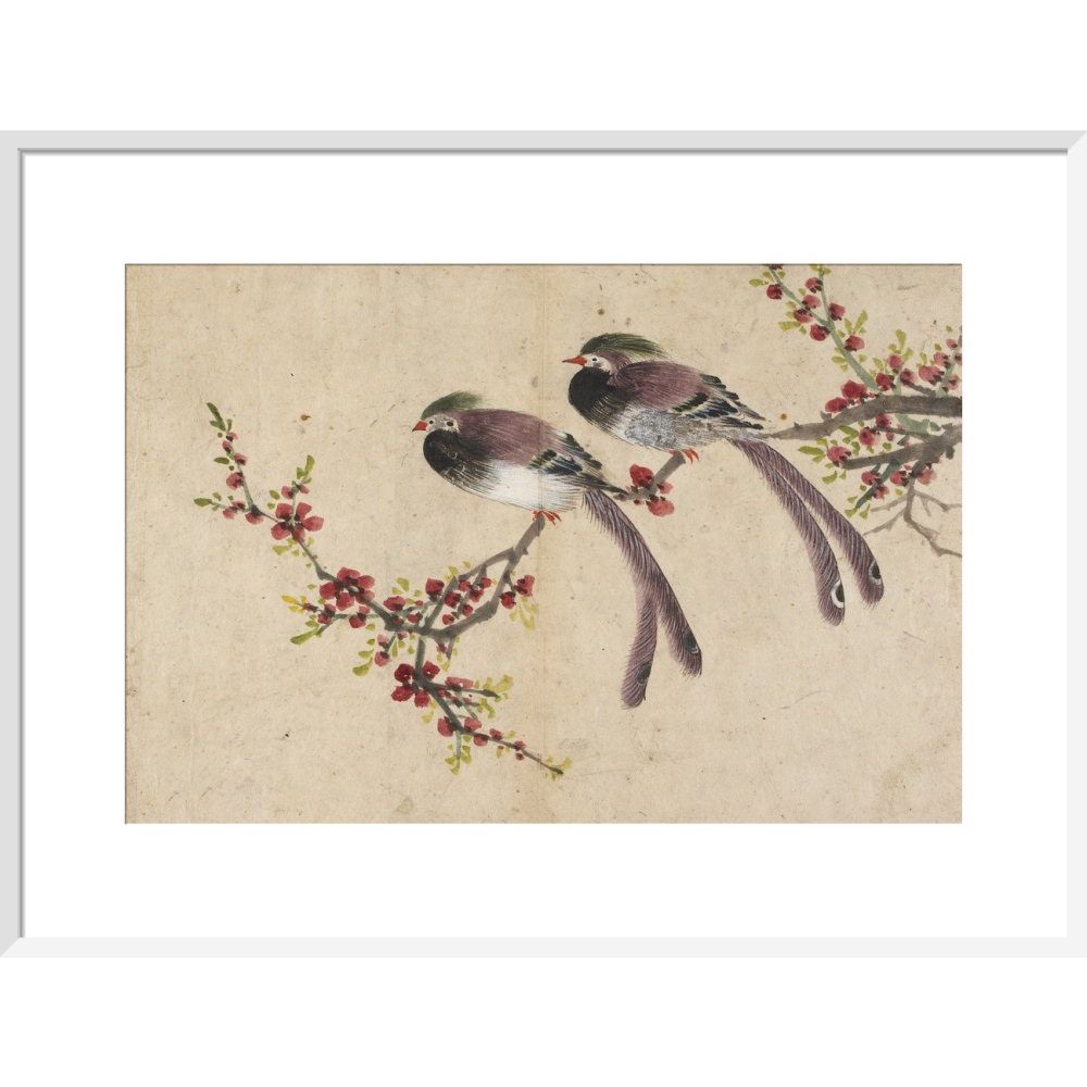 Long-tailed birds on plum tree branch print in white frame