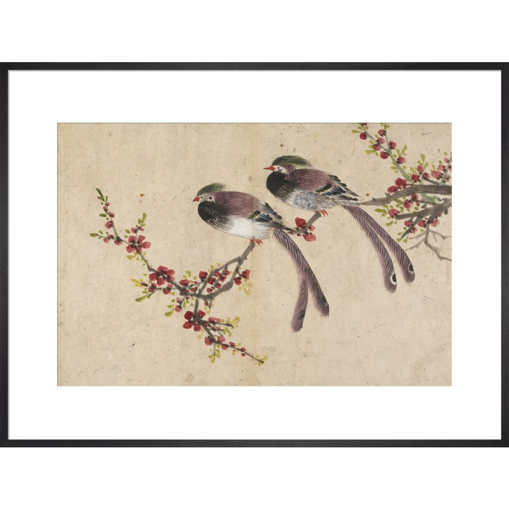 Long-tailed birds on plum tree branch print in black frame