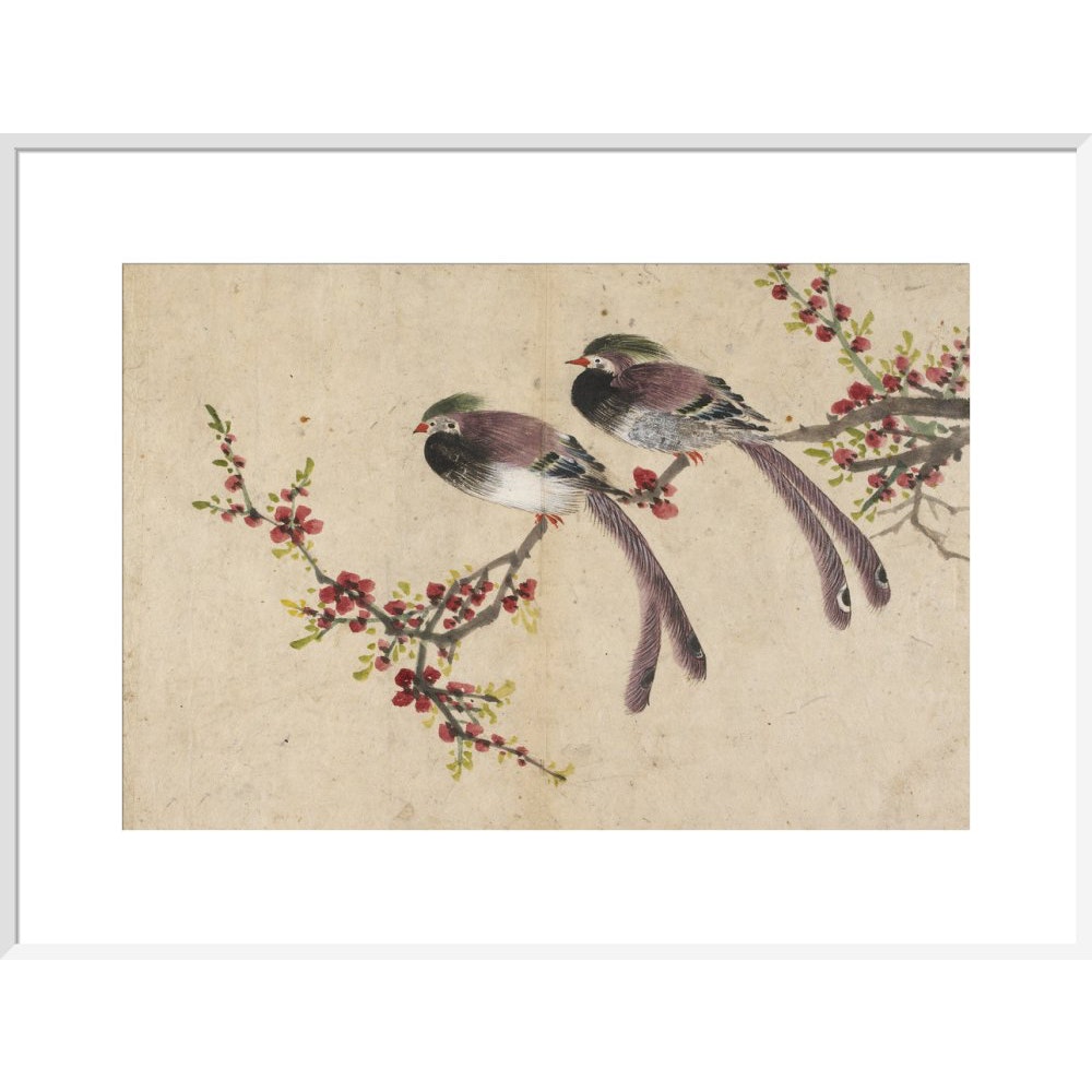 Long-tailed birds on plum tree branch print in white frame