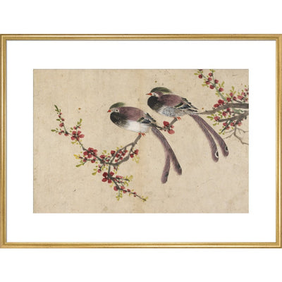 Long-tailed birds on plum tree branch print in gold frame