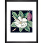 Magnolia print in black frame