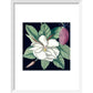 Magnolia print in white frame