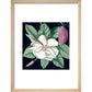 Magnolia print in natural frame