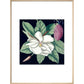 Magnolia print in natural frame