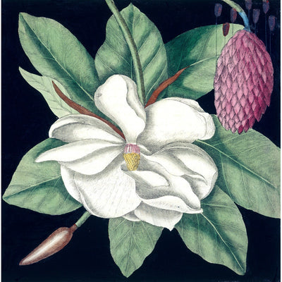 Magnolia print