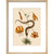 Lilium (Lily) print in natural frame