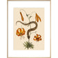 Lilium (Lily) print in natural frame