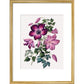 Clematis print in gold frame