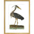 Heron print in gold frame