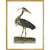 Heron print in gold frame