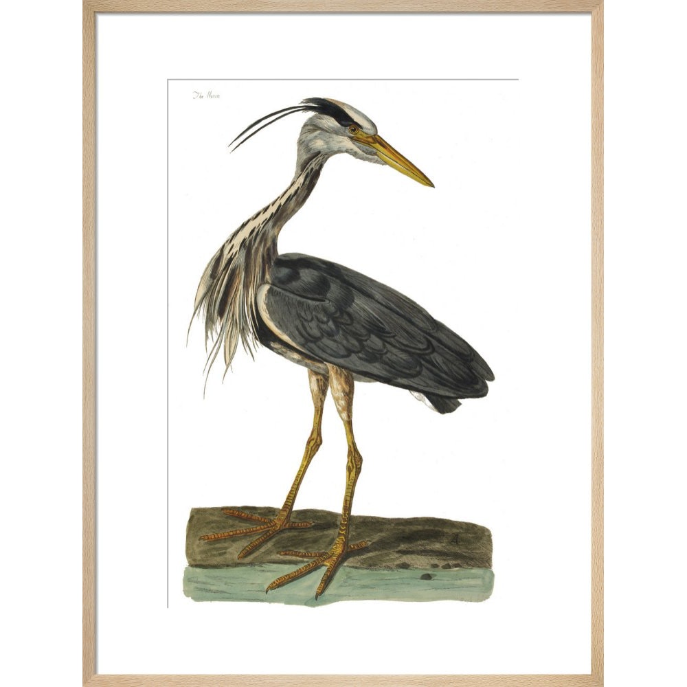 Heron print in natural frame