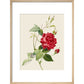 Rose print in natural frame