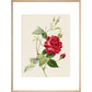 Rose print in natural frame