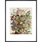 Flowers in a vase print in black frame