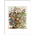 Flowers in a vase print in white frame