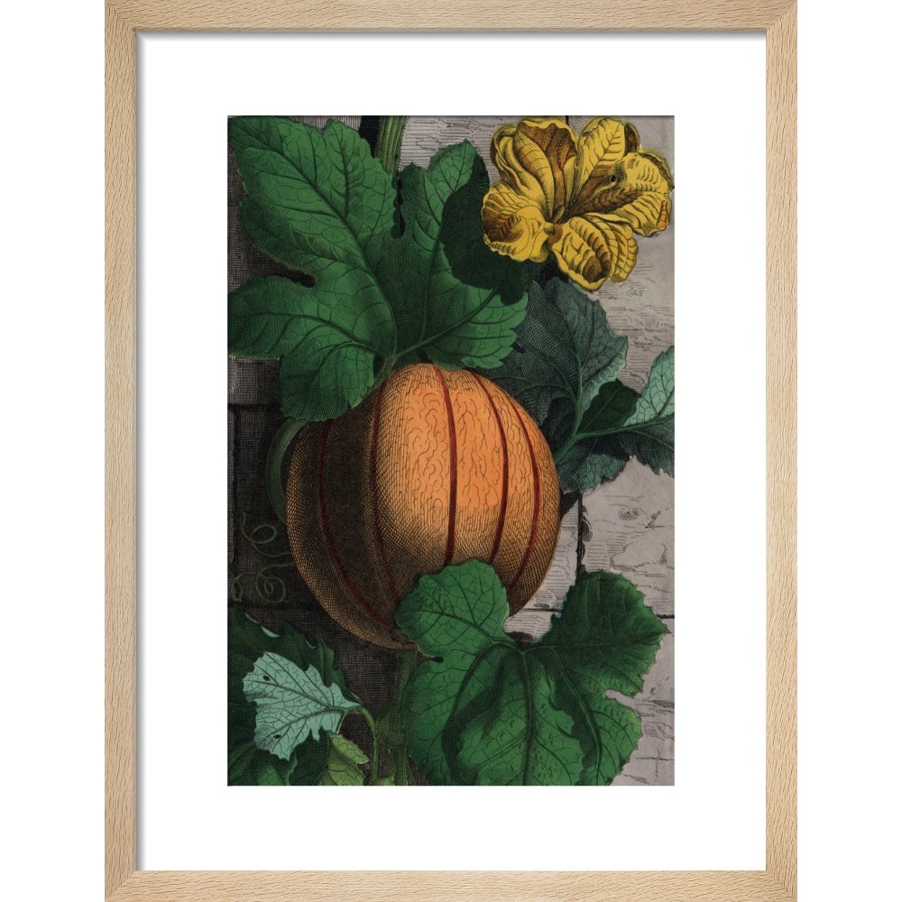 Melon print in natural frame