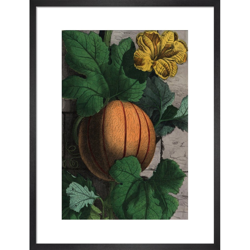 Melon print in black frame
