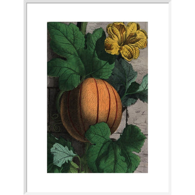 Melon print in white frame