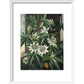 Passion Flower print in white frame