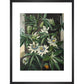 Passion Flower print in black frame
