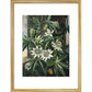 Passion Flower print in gold frame