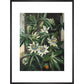 Passion Flower print in black frame