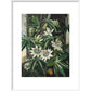 Passion Flower print in white frame