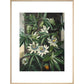 Passion Flower print in natural frame