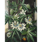 Passion Flower print