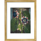 Quadrangular Passion-flower print in gold frame