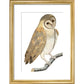 Owl print in gold frame