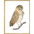 Owl print in gold frame