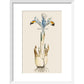 Iris print in white frame