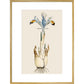 Iris print in gold frame