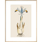 Iris print in natural frame