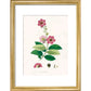 Largerstroemia Regina print in gold frame