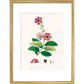 Largerstroemia Regina print in gold frame