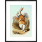 The White Rabbit print in black frame