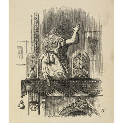 Through the looking-glass, and what Alice found there print