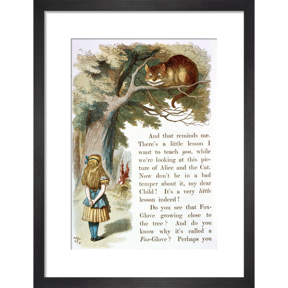 Alice and the Cheshire Cat print in black frame