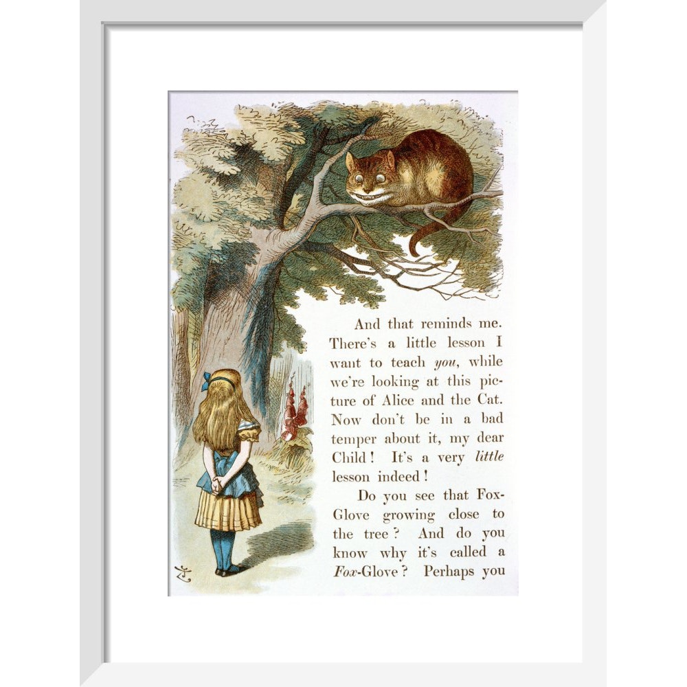 Alice and the Cheshire Cat print in white frame