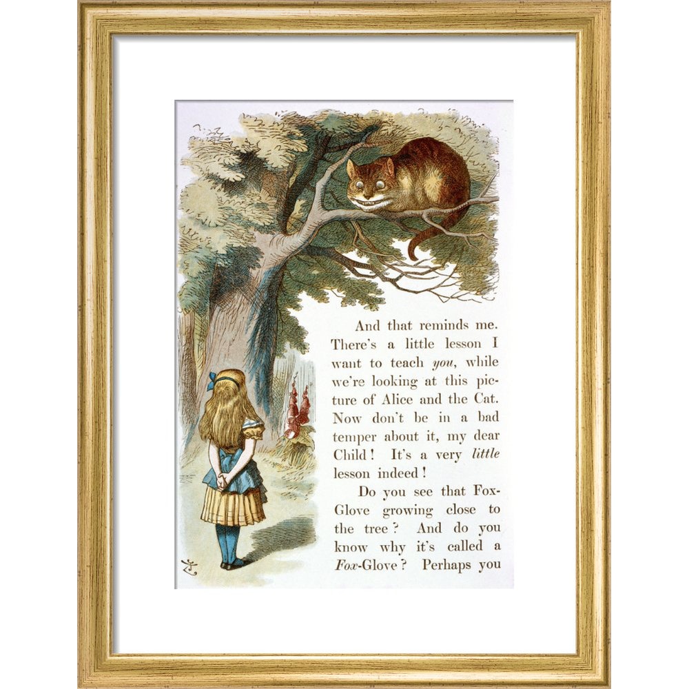 Alice and the Cheshire Cat print in gold frame