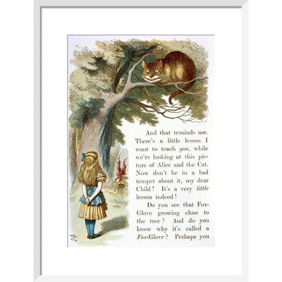 Alice and the Cheshire Cat print in white frame