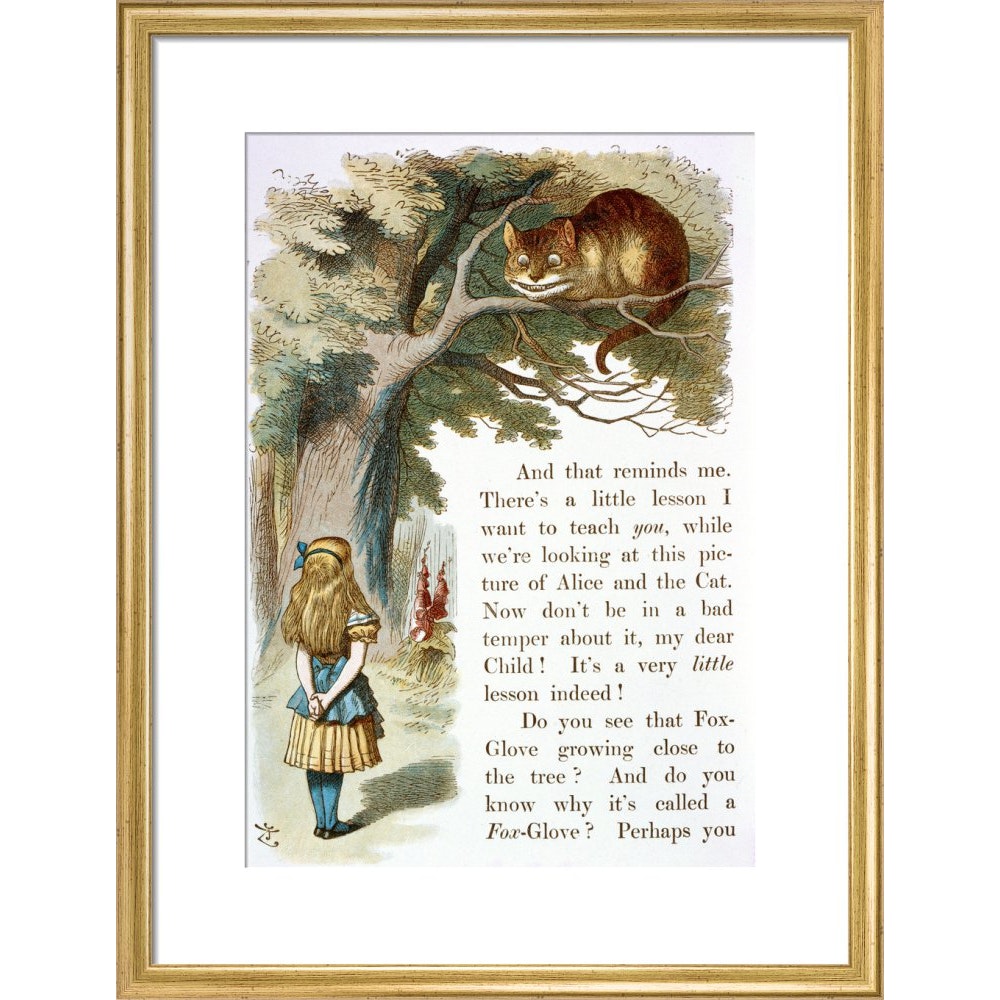 Alice and the Cheshire Cat print in gold frame
