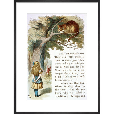 Alice and the Cheshire Cat print in black frame