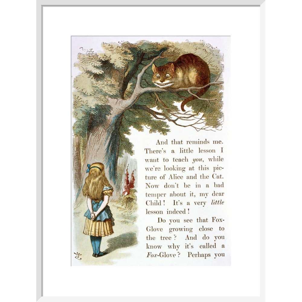 Alice and the Cheshire Cat print in white frame