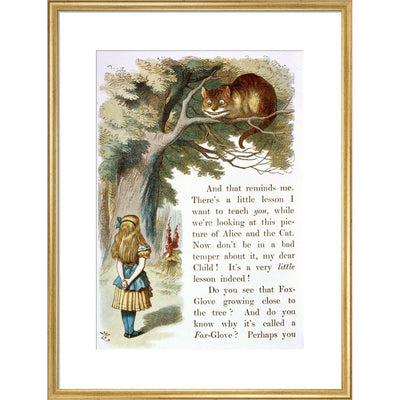 Alice and the Cheshire Cat print in gold frame