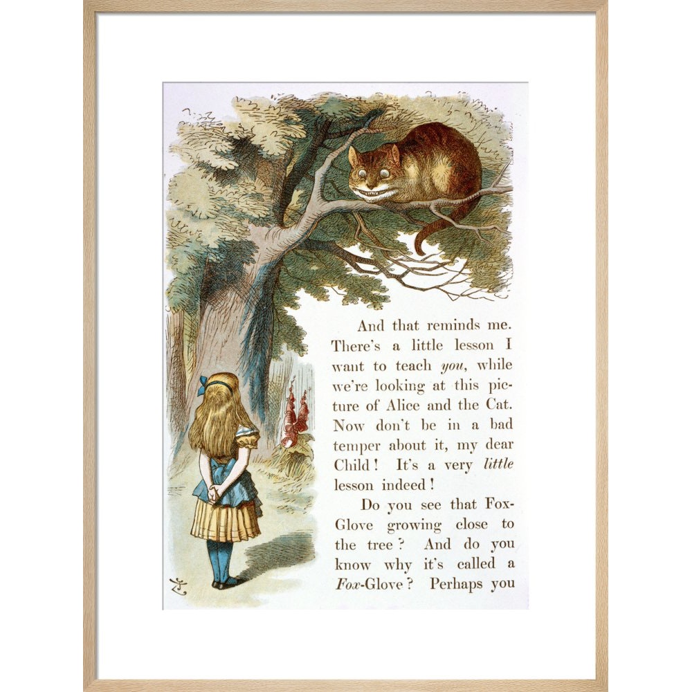 Alice and the Cheshire Cat print in natural frame