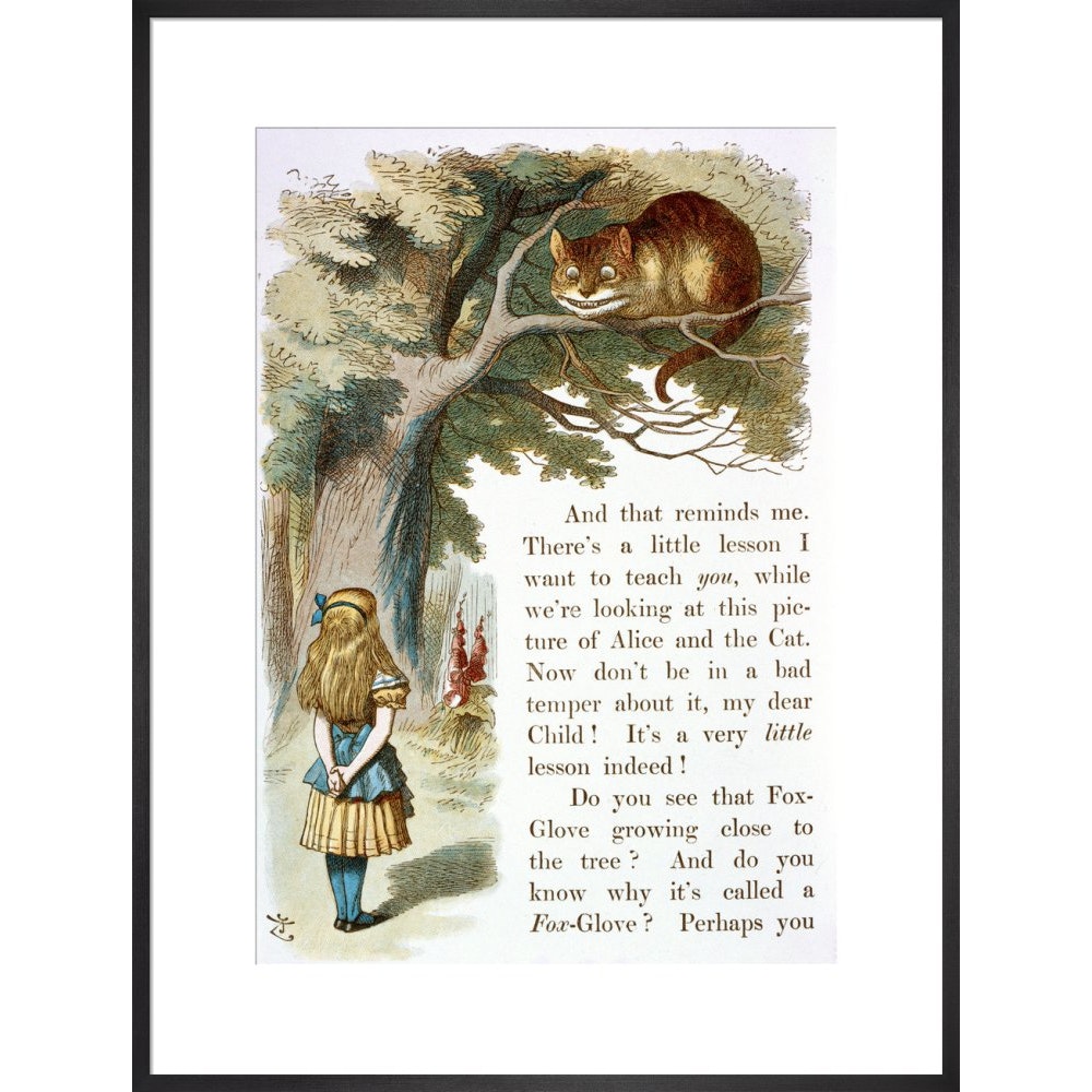 Alice and the Cheshire Cat print in black frame